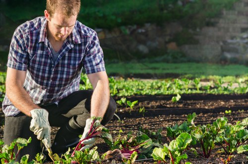 Landscaping terms and conditions document with garden service theme