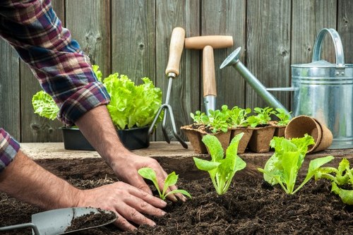 Landscaping team reviewing ethical labour practices