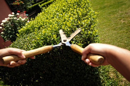 Supplier compliance inspection for landscaping services