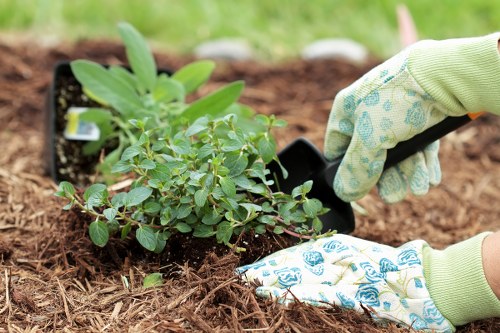 Inclusive Brompton landscaping website accessibility support