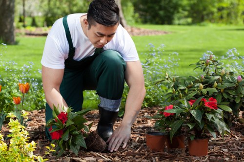 Low-maintenance artificial lawn suited to Brompton homes and commercial spaces