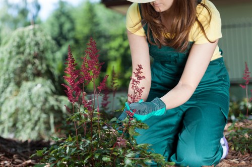 Professional landscaping Brompton service with insurance and PPE
