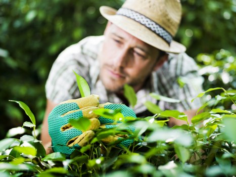 Complaint resolution process for a Brompton landscaping service