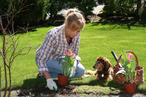 Low-maintenance garden transformation suitable for Brompton residential or commercial properties