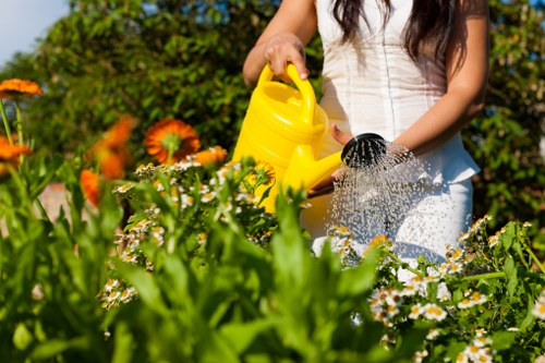 Reviewing garden landscaping details and notes for a complaint